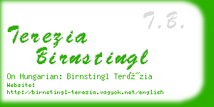 terezia birnstingl business card